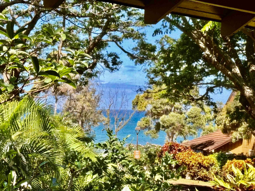 100 Lio Place Pl, Unit D2, Molokai