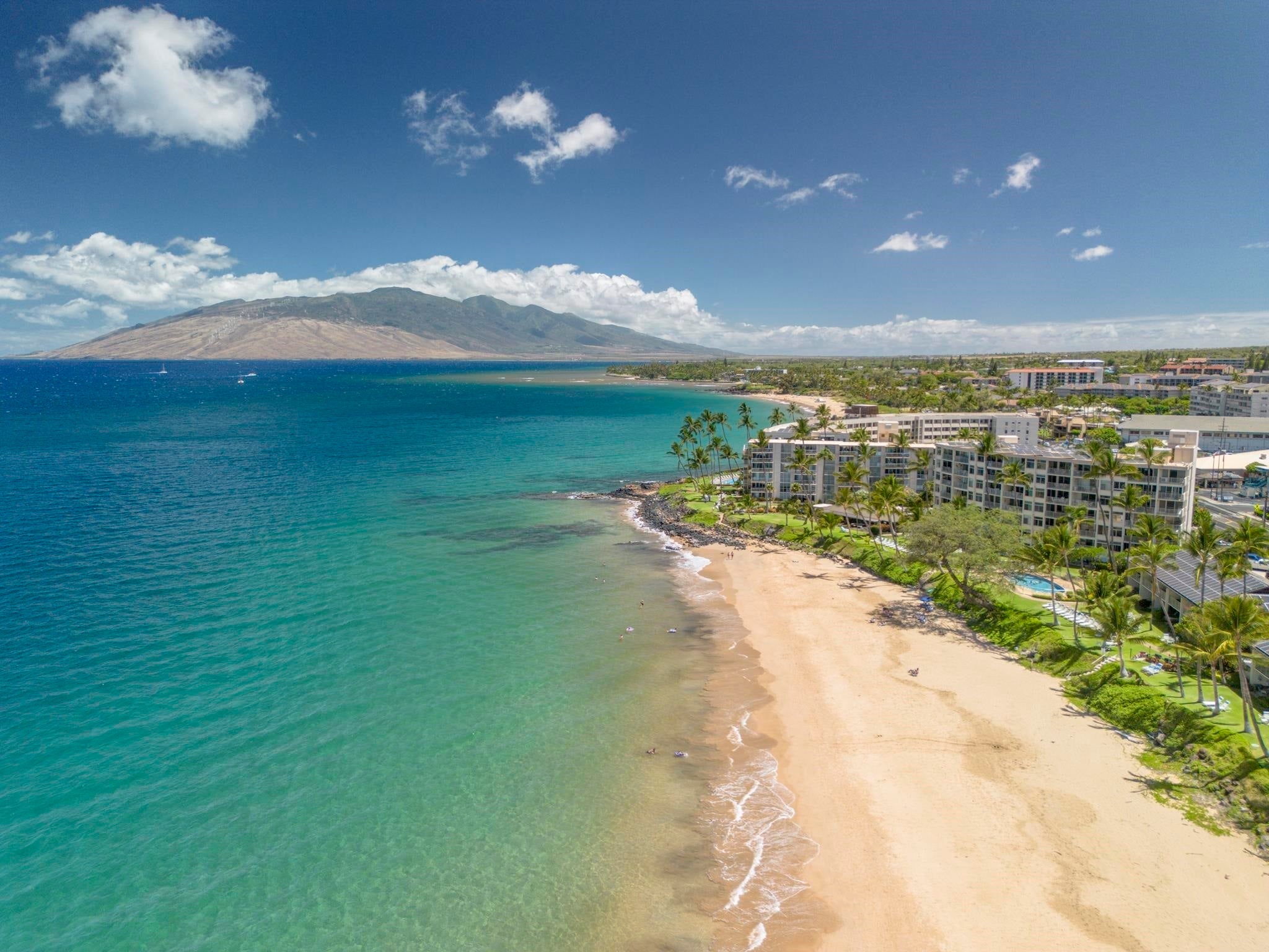 Photo of Listing #406104