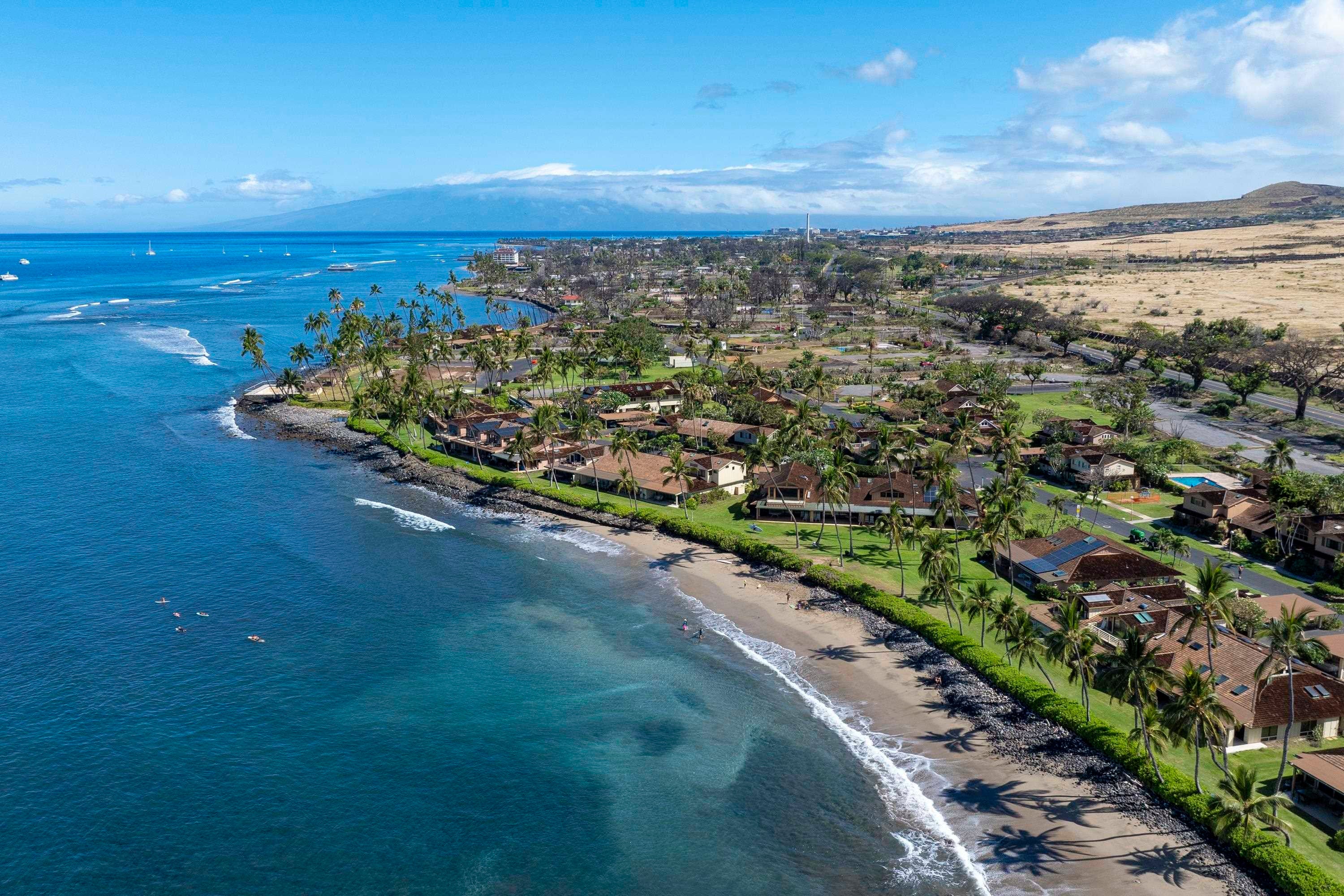 Photo of Listing #405860