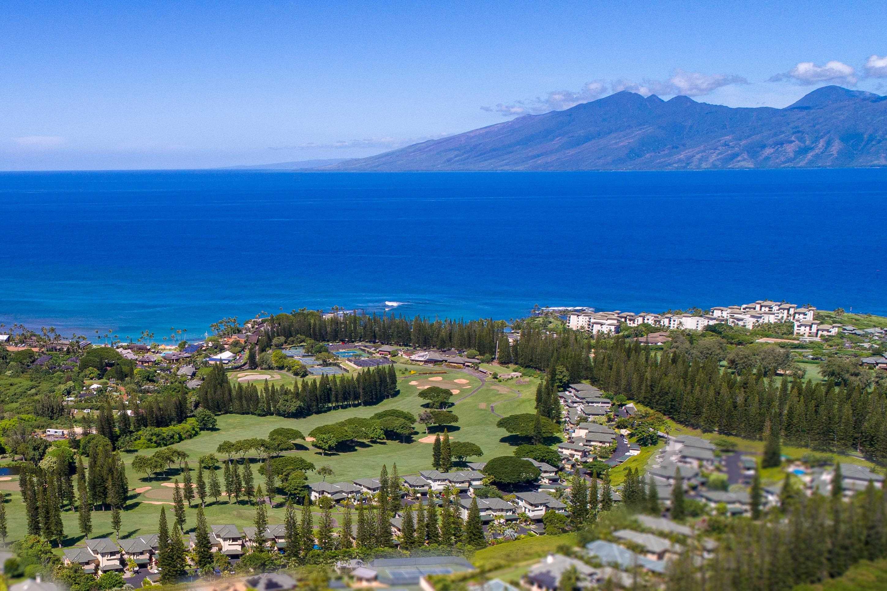 Photo of Listing #405831