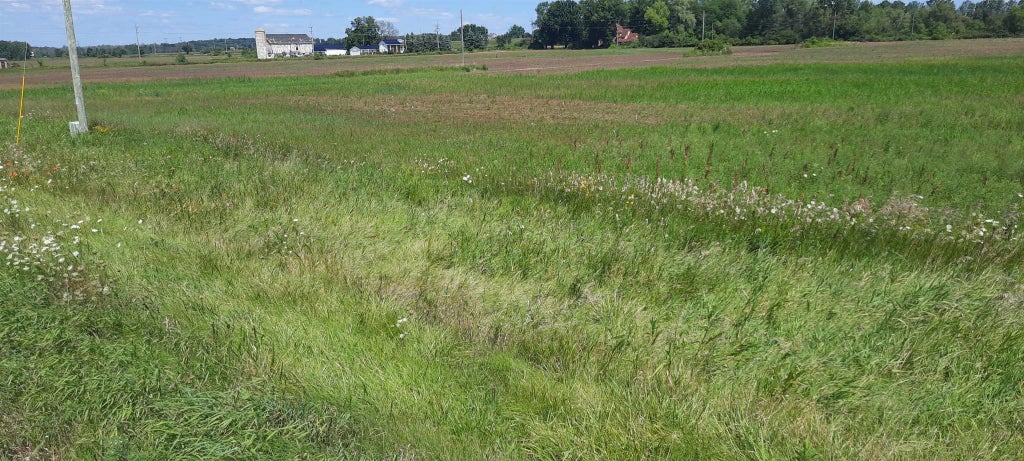 Shawano Street, NEW LONDON