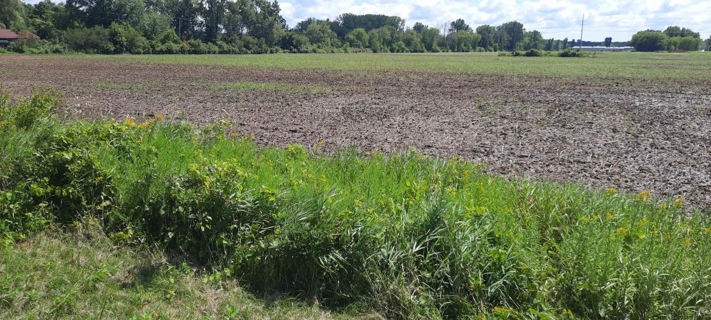 Spurr Road, NEW LONDON