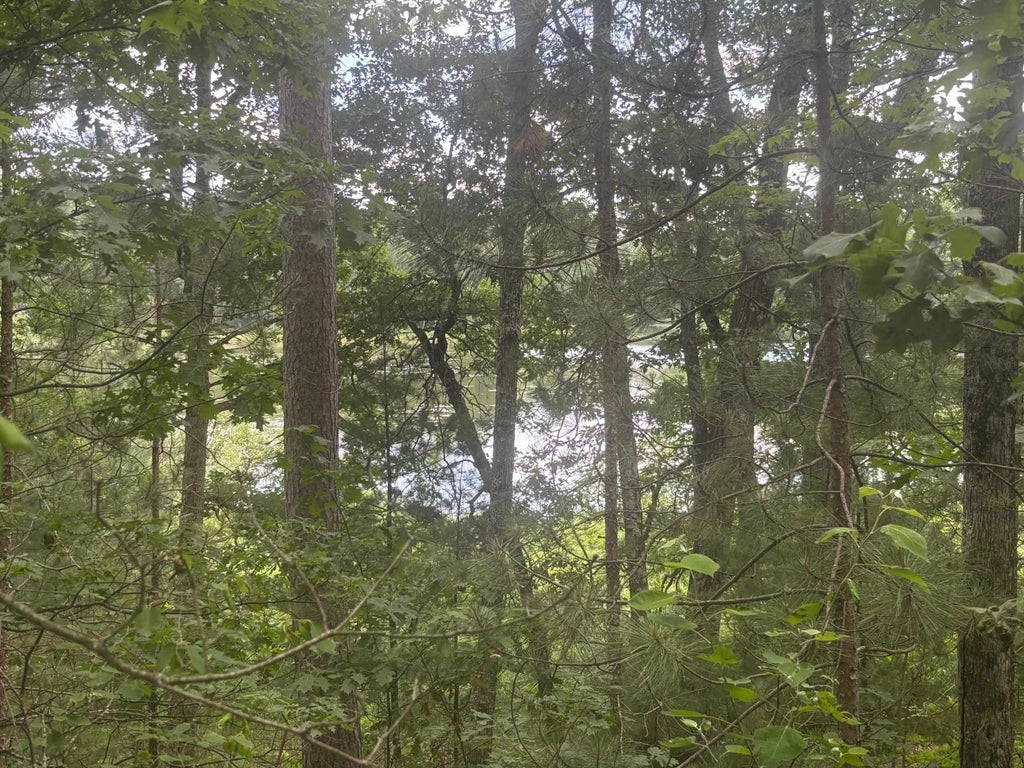 Swan Bay Road 6, AMBERG