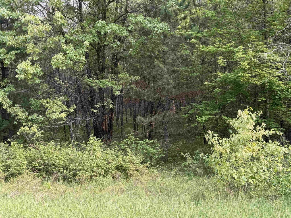 W1926 Great Bear Road, KESHENA