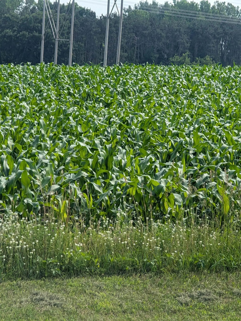 Buelow Road 2, NEW LONDON