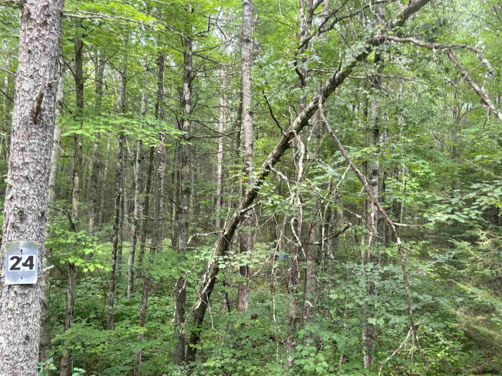 N1714 Hawks Nest Path, KESHENA