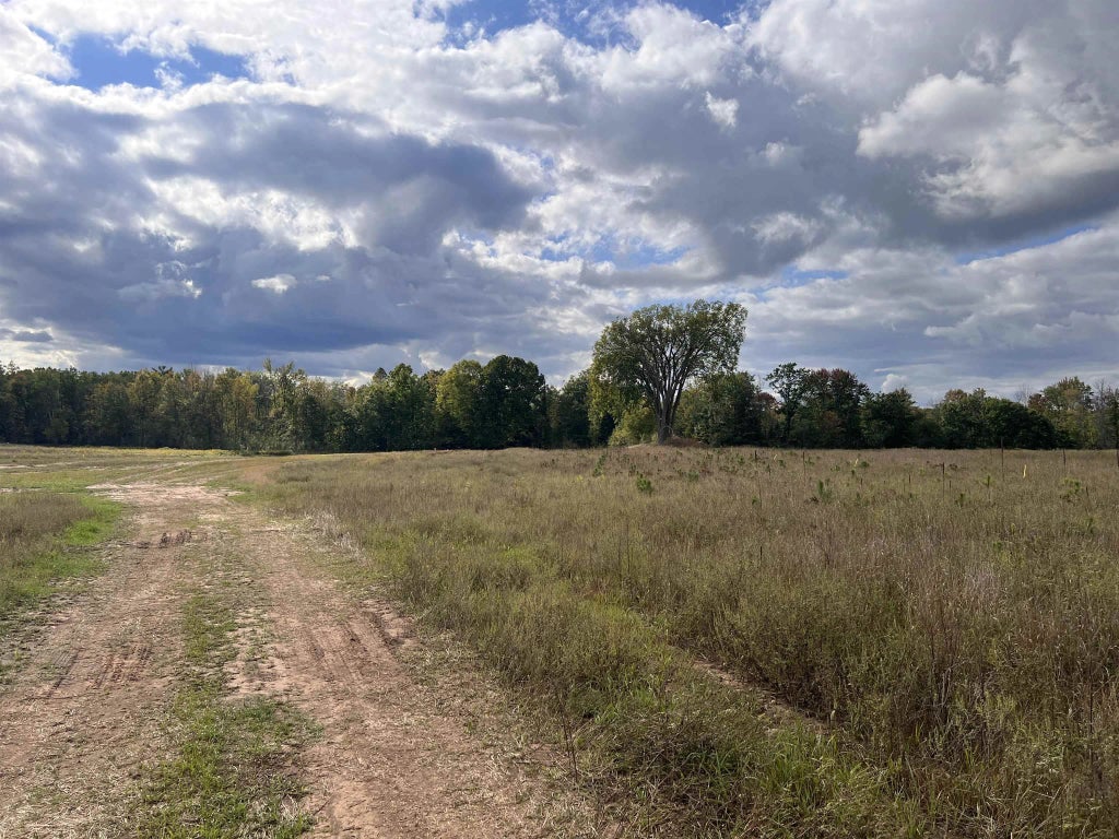 Just Road 5, WAUSAUKEE