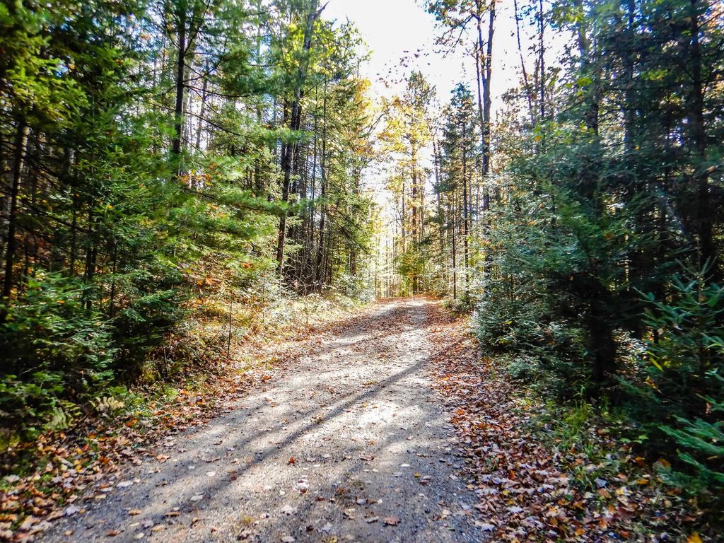N16656 Dexter Drive, PEMBINE