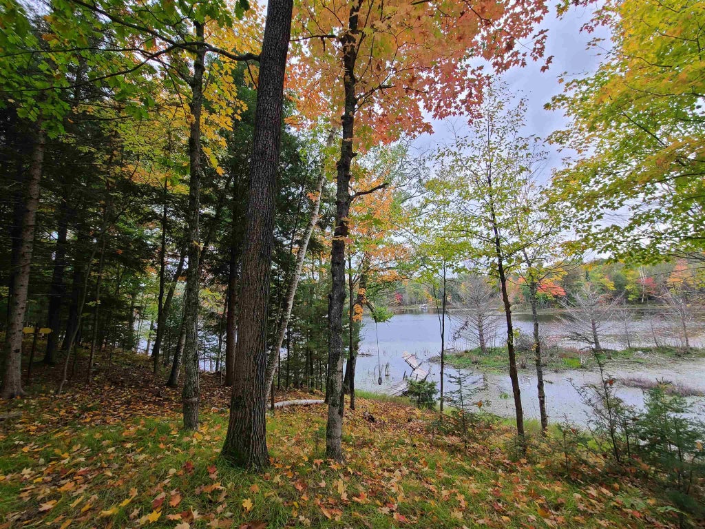 W16125 S Loop Drive, FENCE