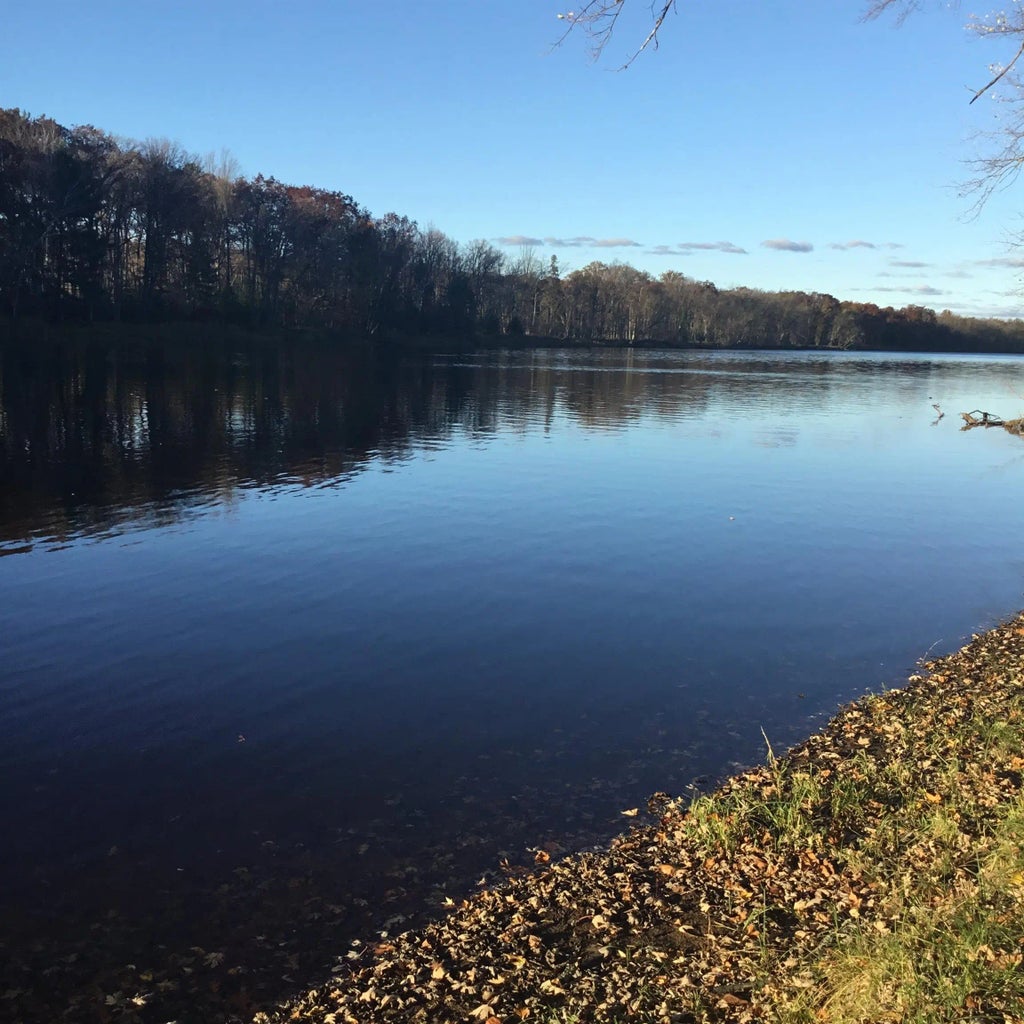 N11169 Rademaker Road 12, WAUSAUKEE