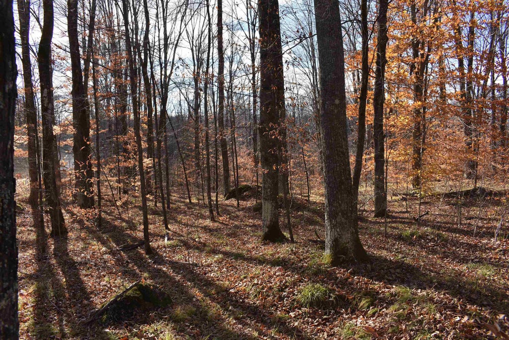 N13315 Harper Road, ATHELSTANE