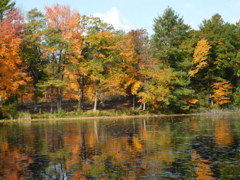 W606 Joe Johnson Road, SURING