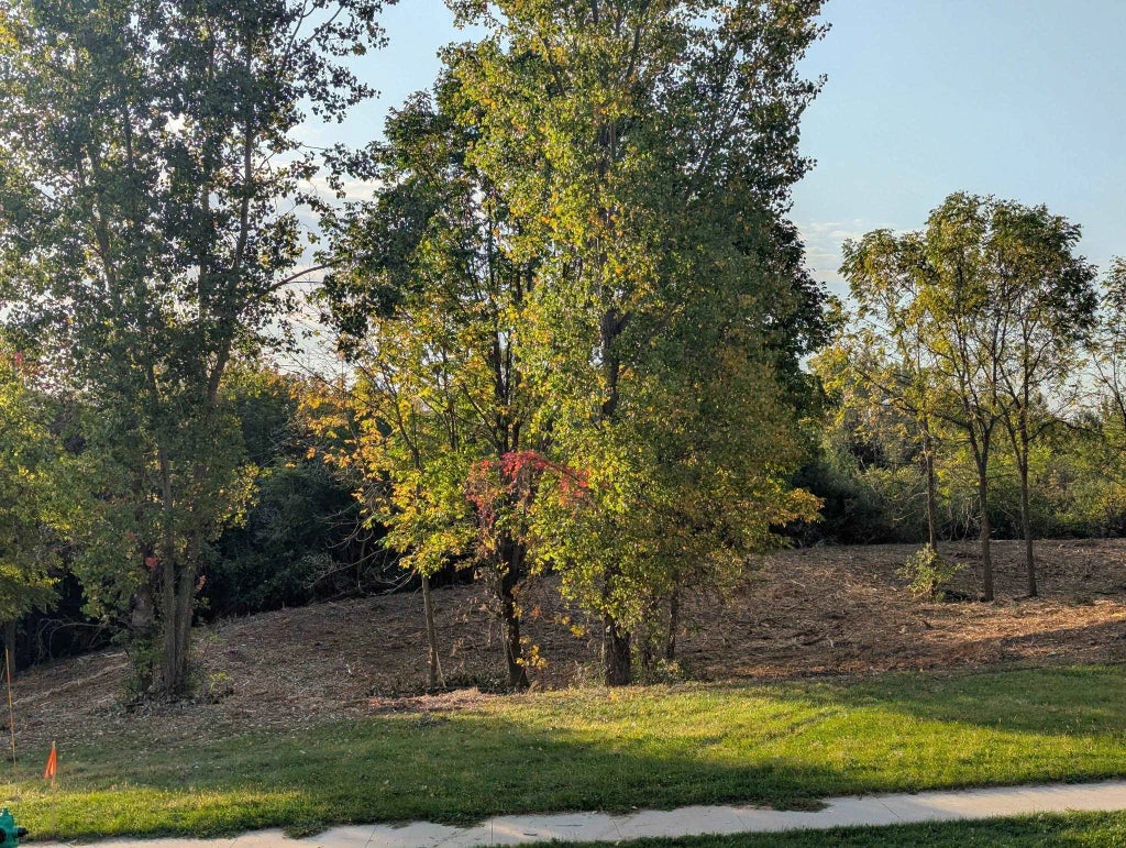 Incline Way, APPLETON