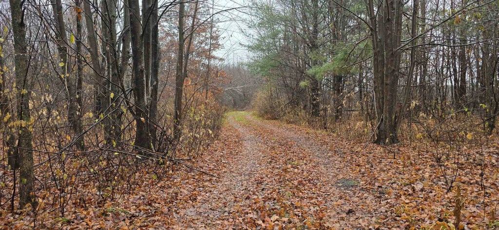 N County Road Ww, MERRILL