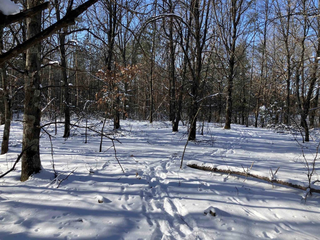 6536 Akron Avenue, PLAINFIELD