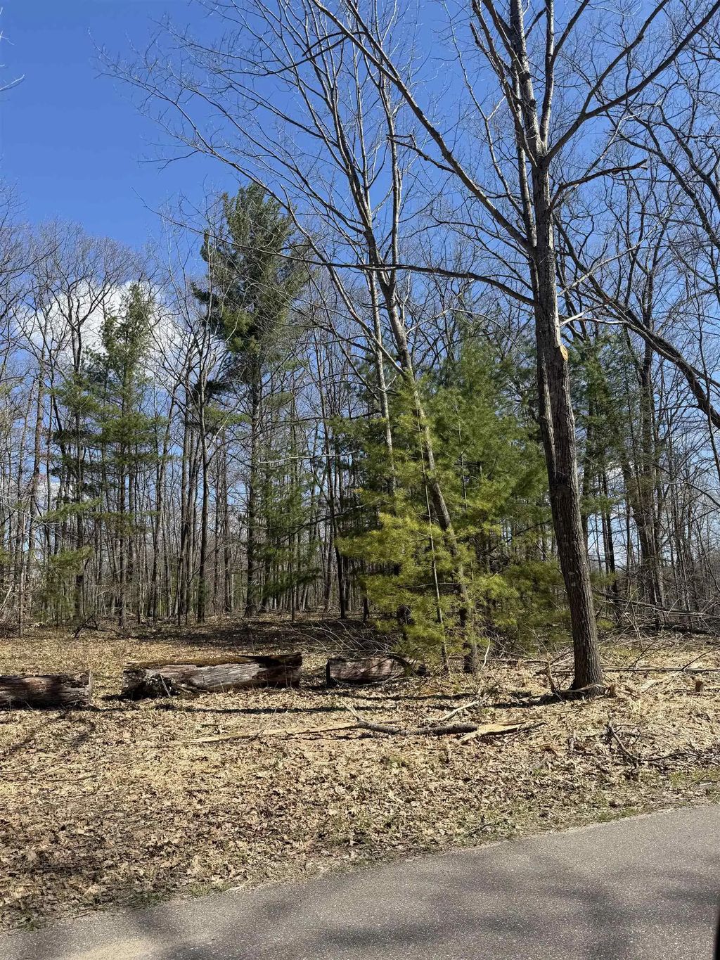 Archibald Lake Road, TOWNSEND