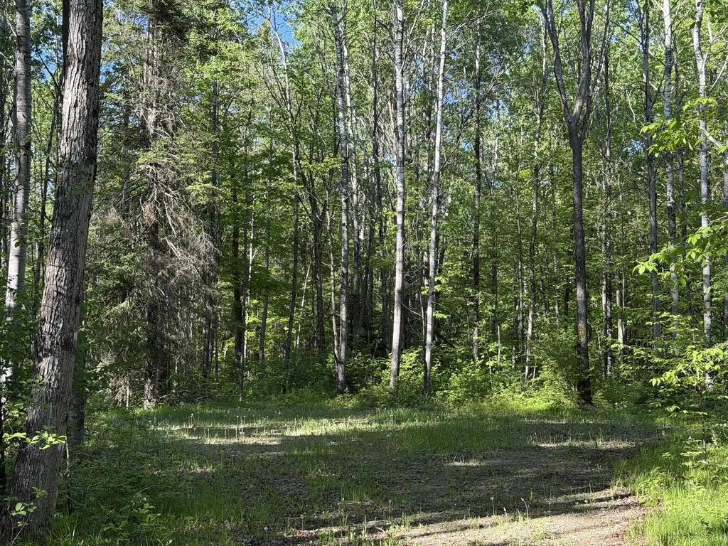Dream Lake Road 2, TIPLER