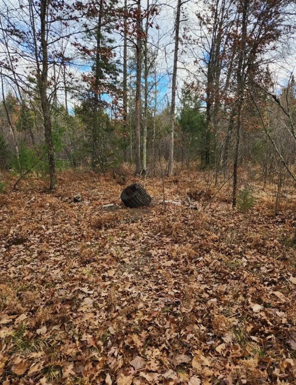 N18104 Perch Lake Road, PEMBINE