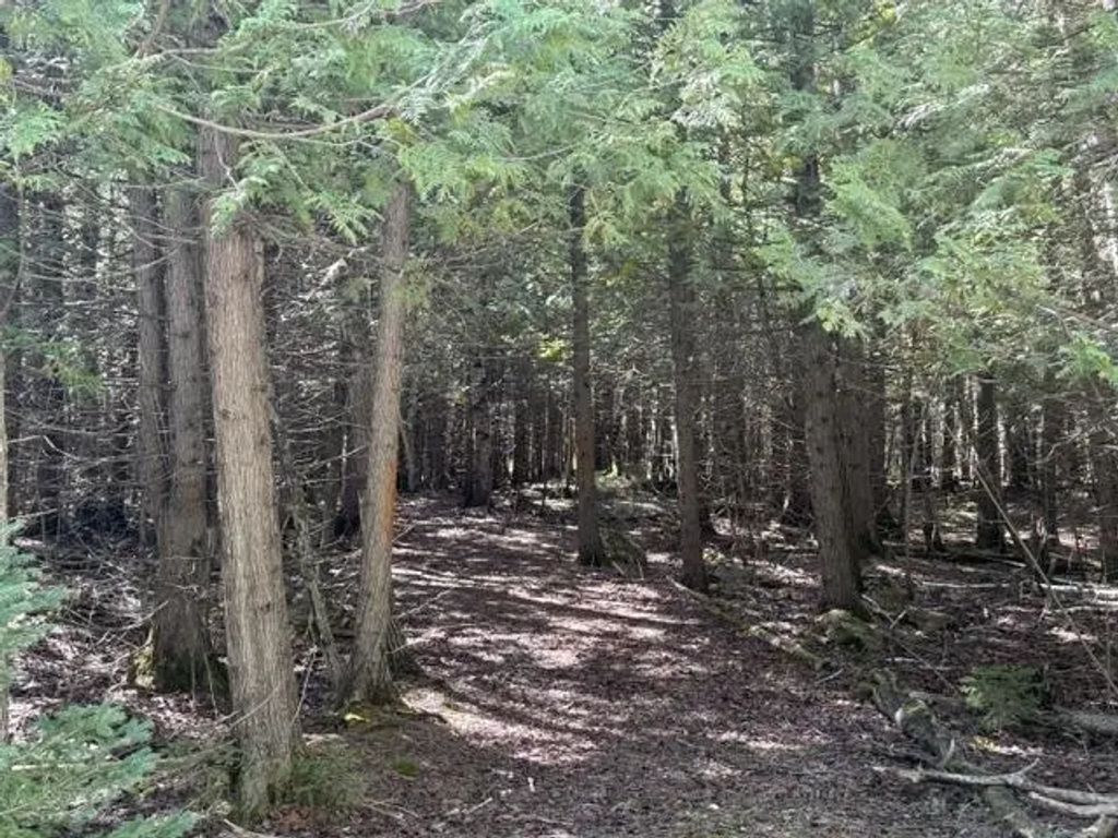 Sleepy Hollow Drive 1, STURGEON BAY
