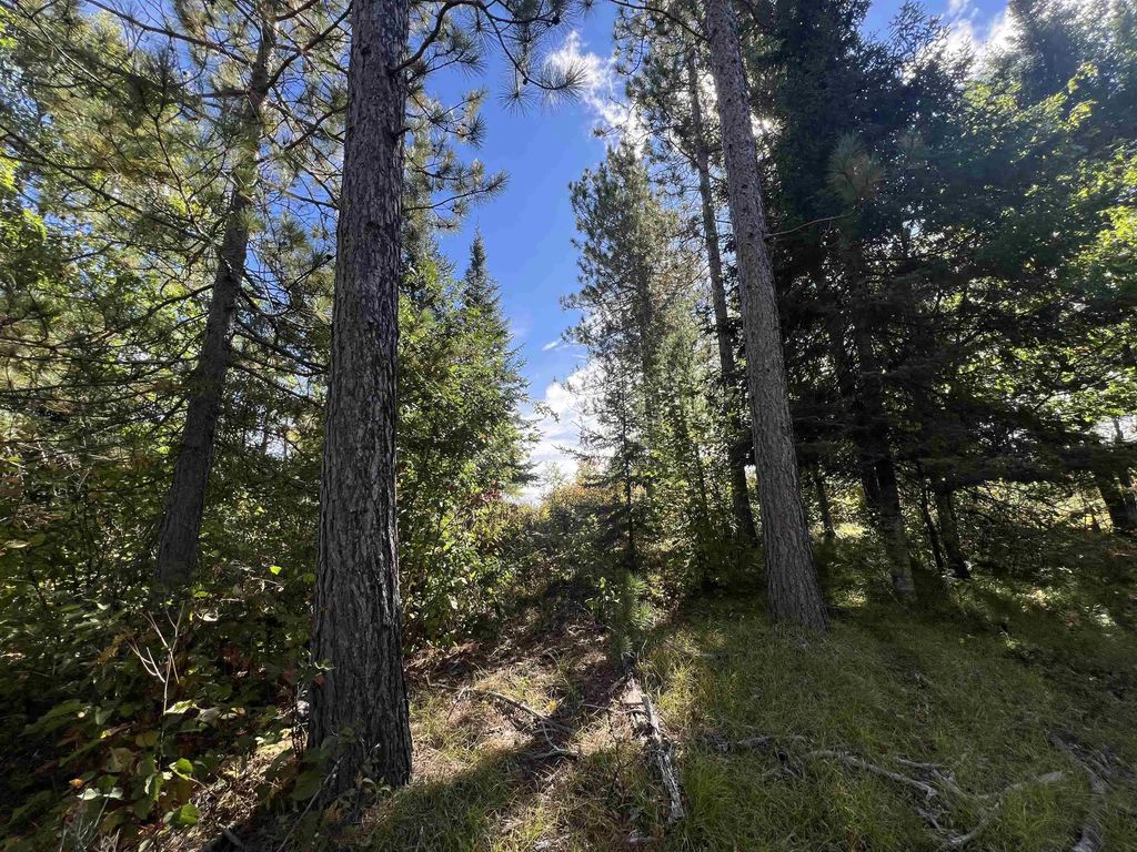 Gehling Road 11, DUNBAR