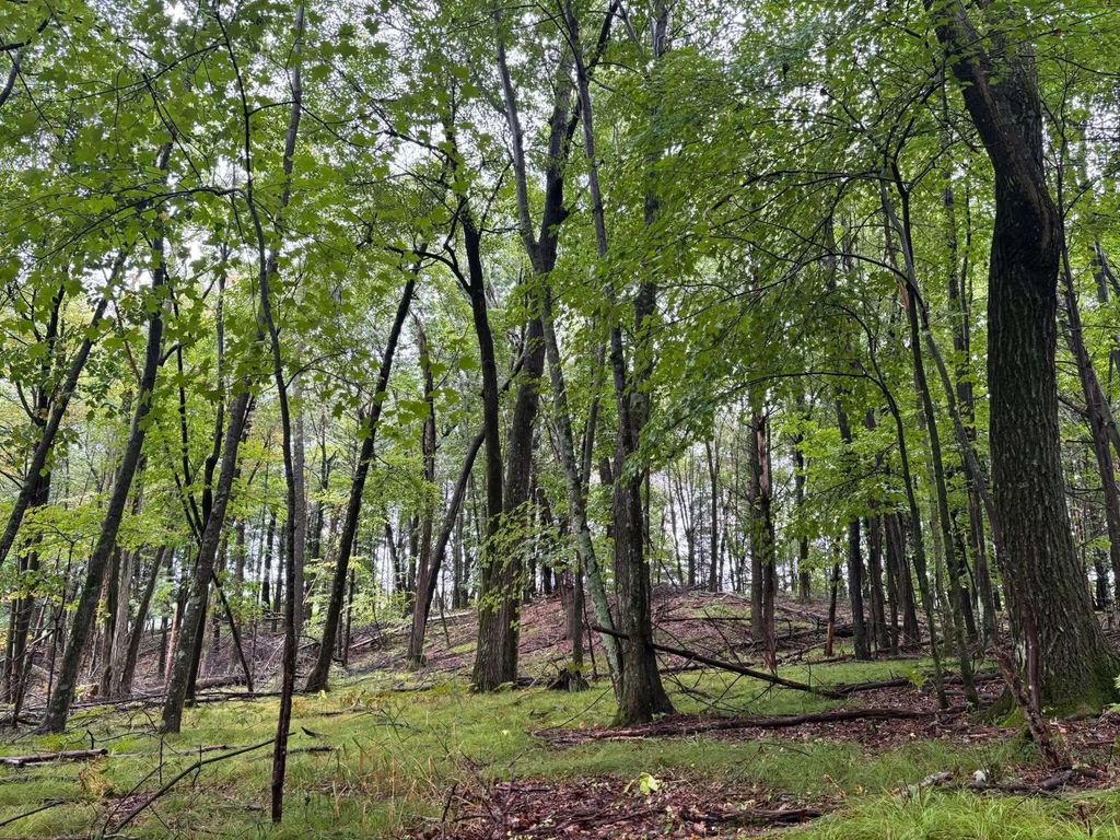 Doede Road 4, 5, IOLA