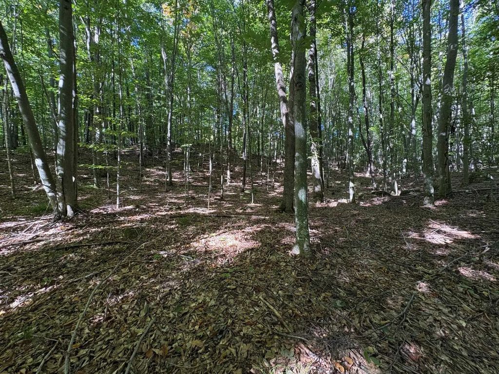 Bear Cave Road, SILVER CLIFF