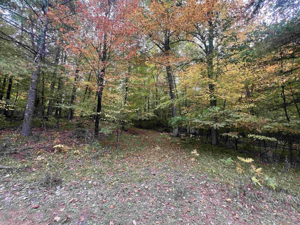 N17031 Roth Lane, PEMBINE