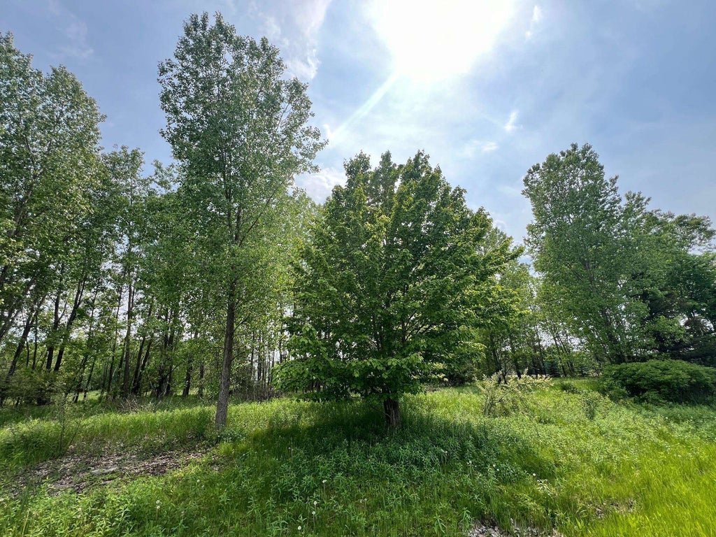 Maple View Court, HOBART