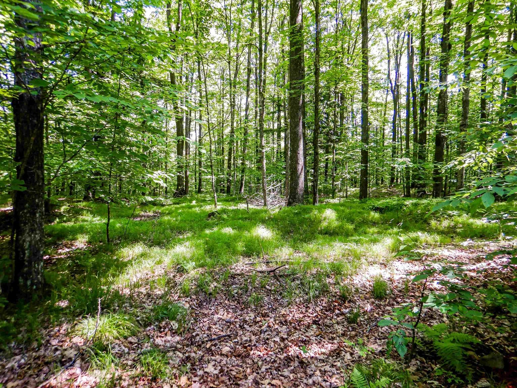 N12366 Chisum Trail, ATHELSTANE