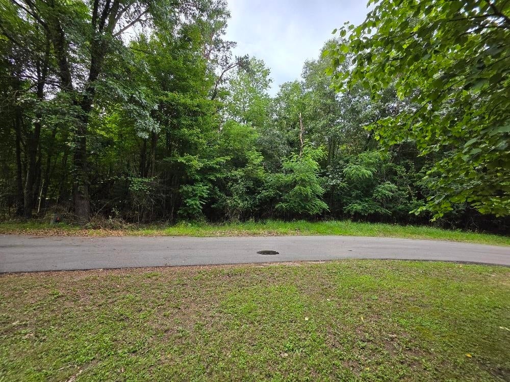 Pine Lane 17, WILD ROSE