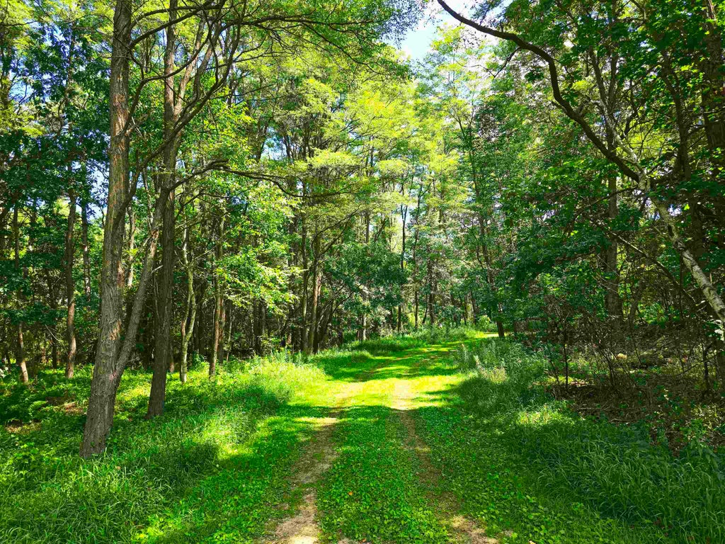Meadow Shores Road, NESHKORO