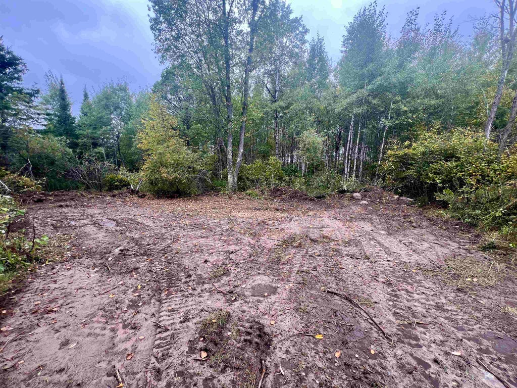 Dream Lake Road 4, TIPLER