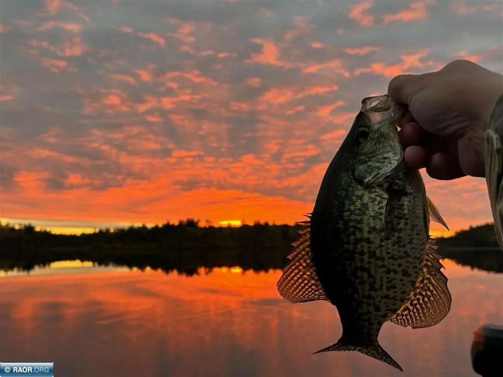 Tbd Wilderness Way, Cook