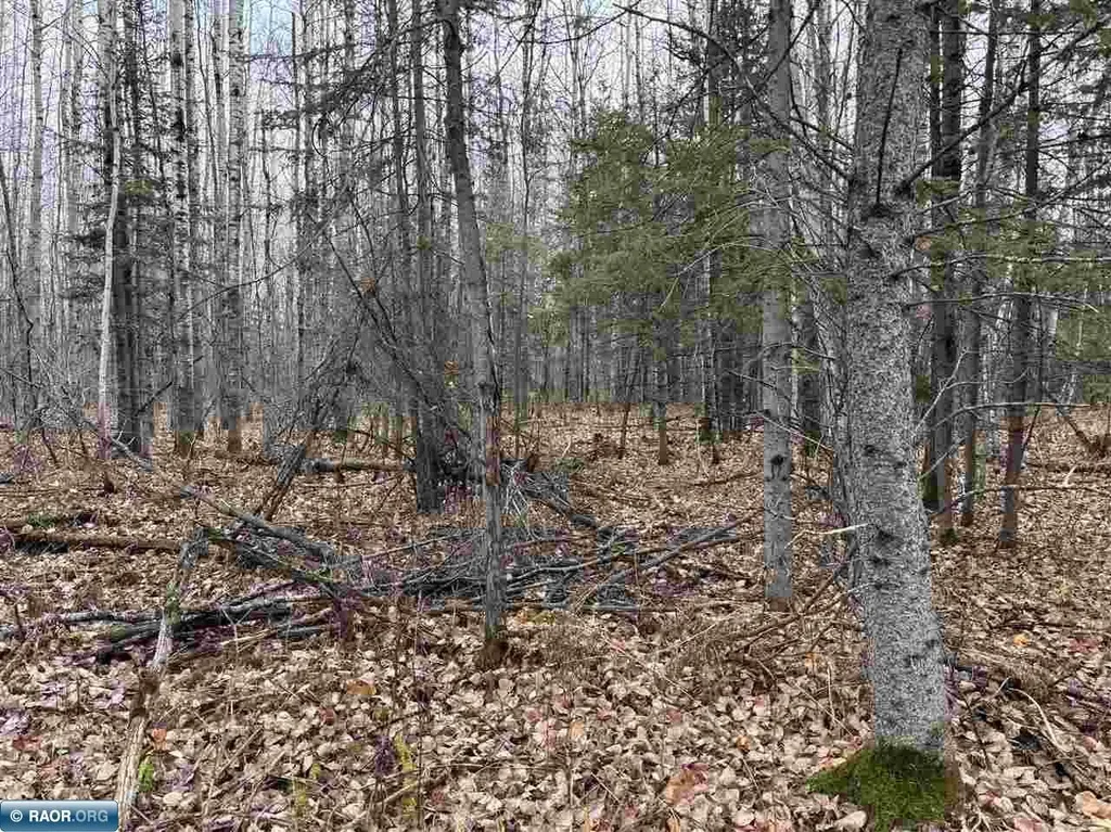 Tbd Shannon Lake Rd, Side Lake