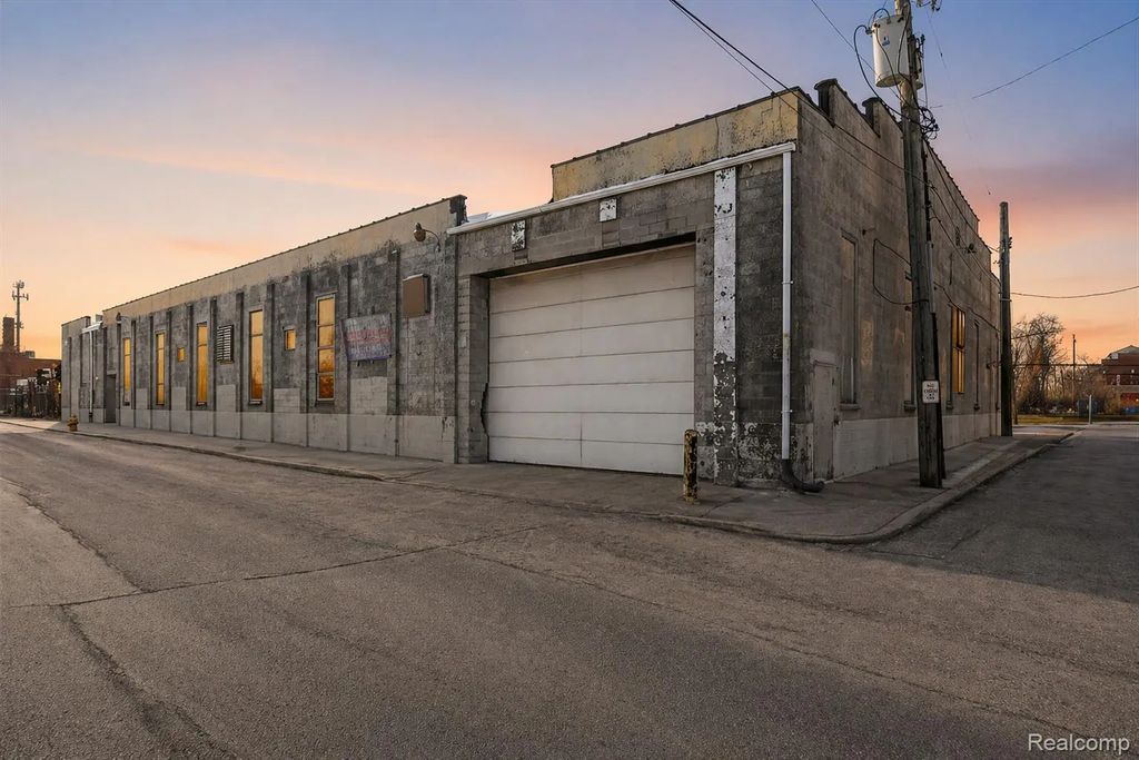 232 Ferdinand Street, DetroitCity_Wayne