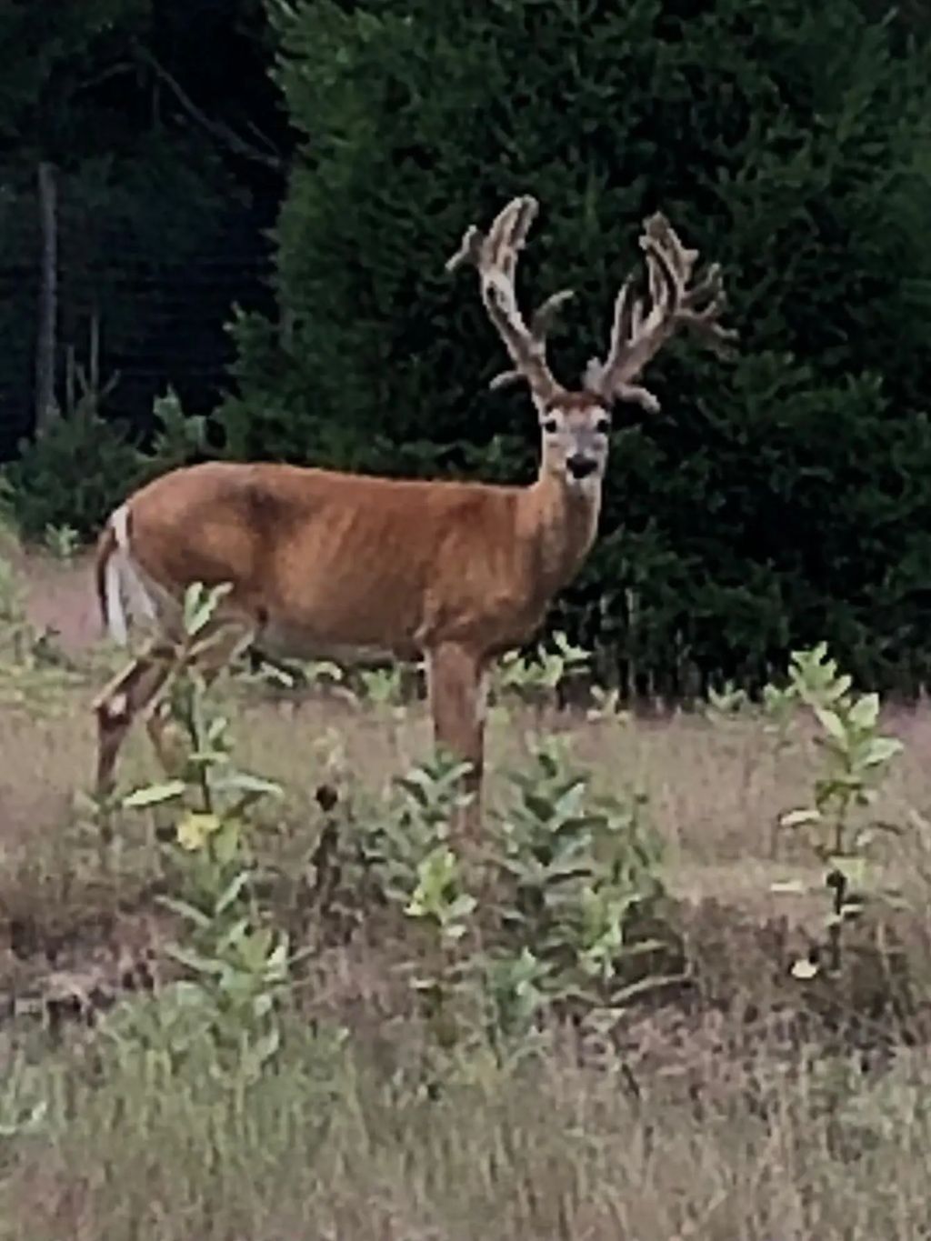 S Sullivan Road, SolonTownship_Leelanau