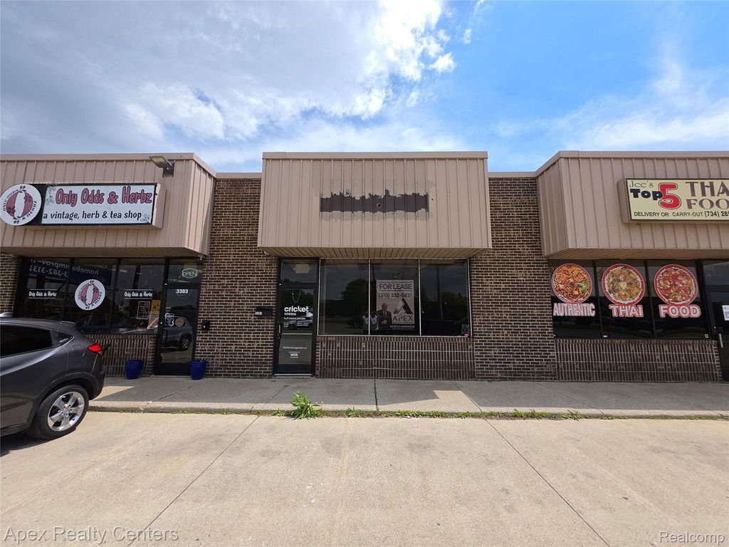 3387 Fort Street, Wyandotte city