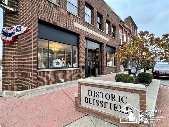 101 S Lane St, Blissfield