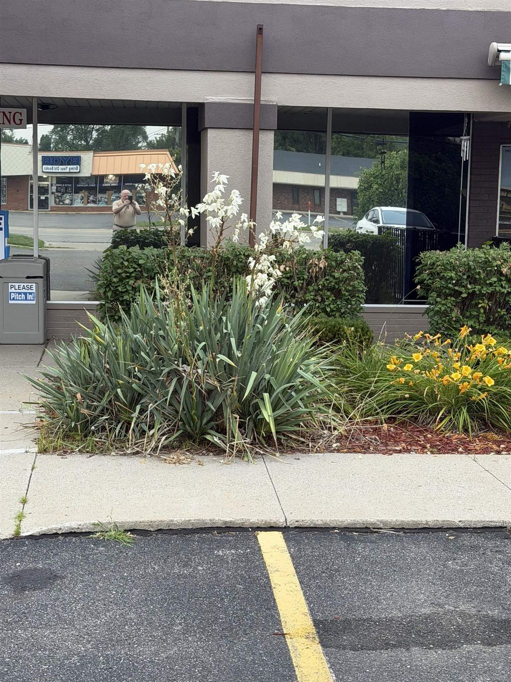 48562 Van Dyke Ave, Shelby charter township