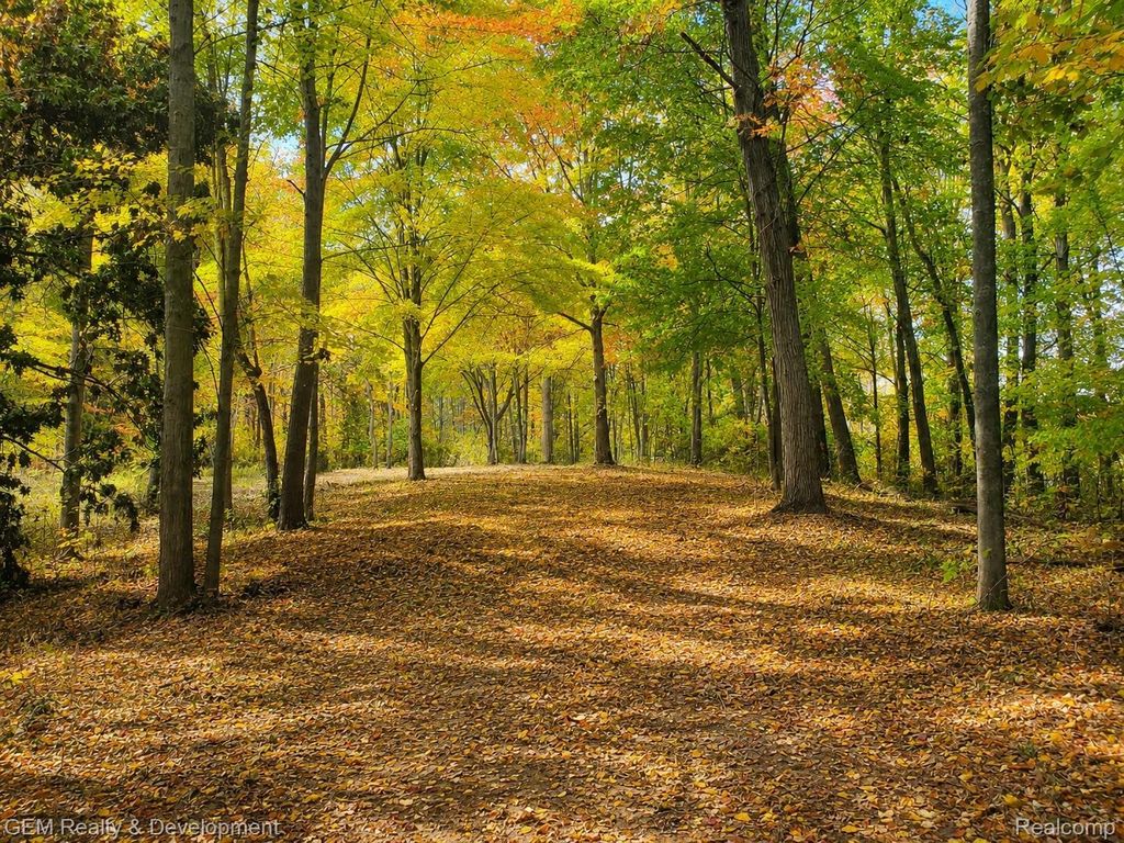 6002 7 Mile  Rd, Salem township