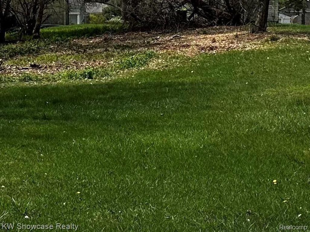 0000 Tamson St, West Bloomfield charter township