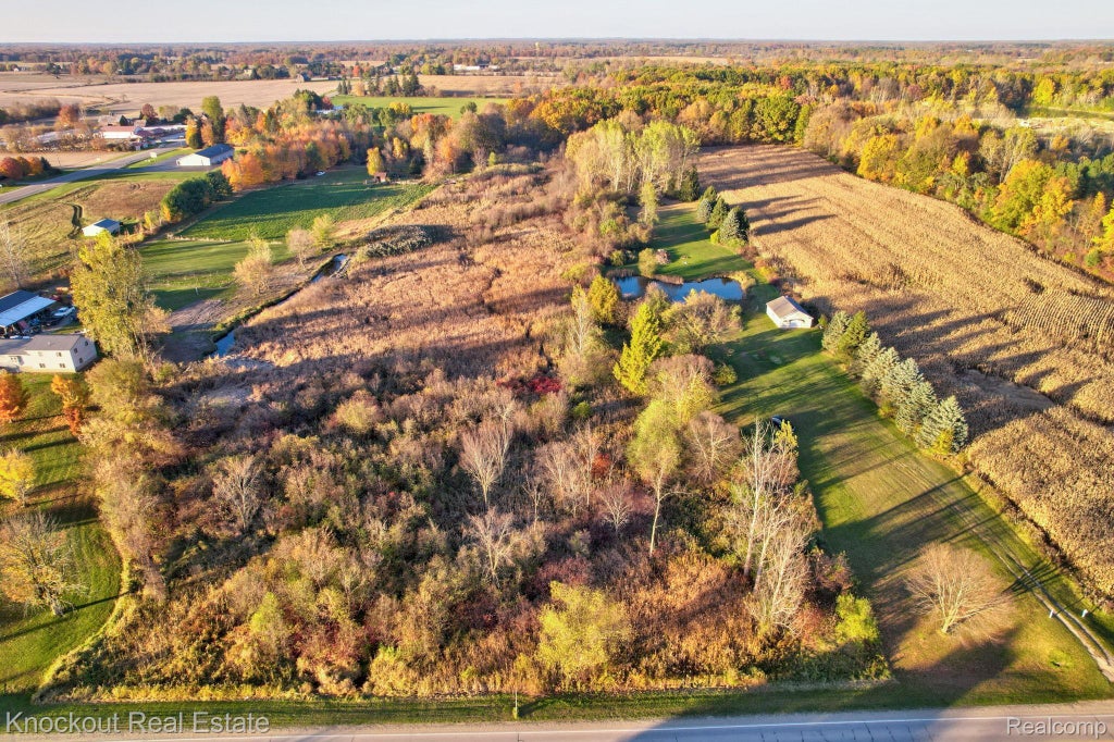 4690 Birch Run Road, Millington township