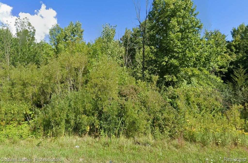 00 Cr 378, Covert township