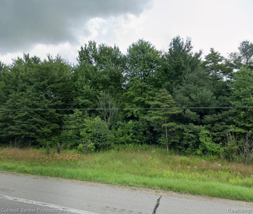 46333 M-140, Covert township