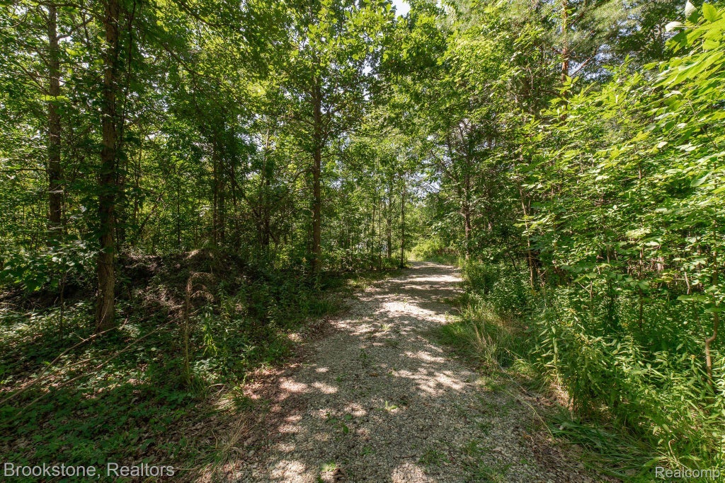 Vl Sashabaw Road, Brandon charter township