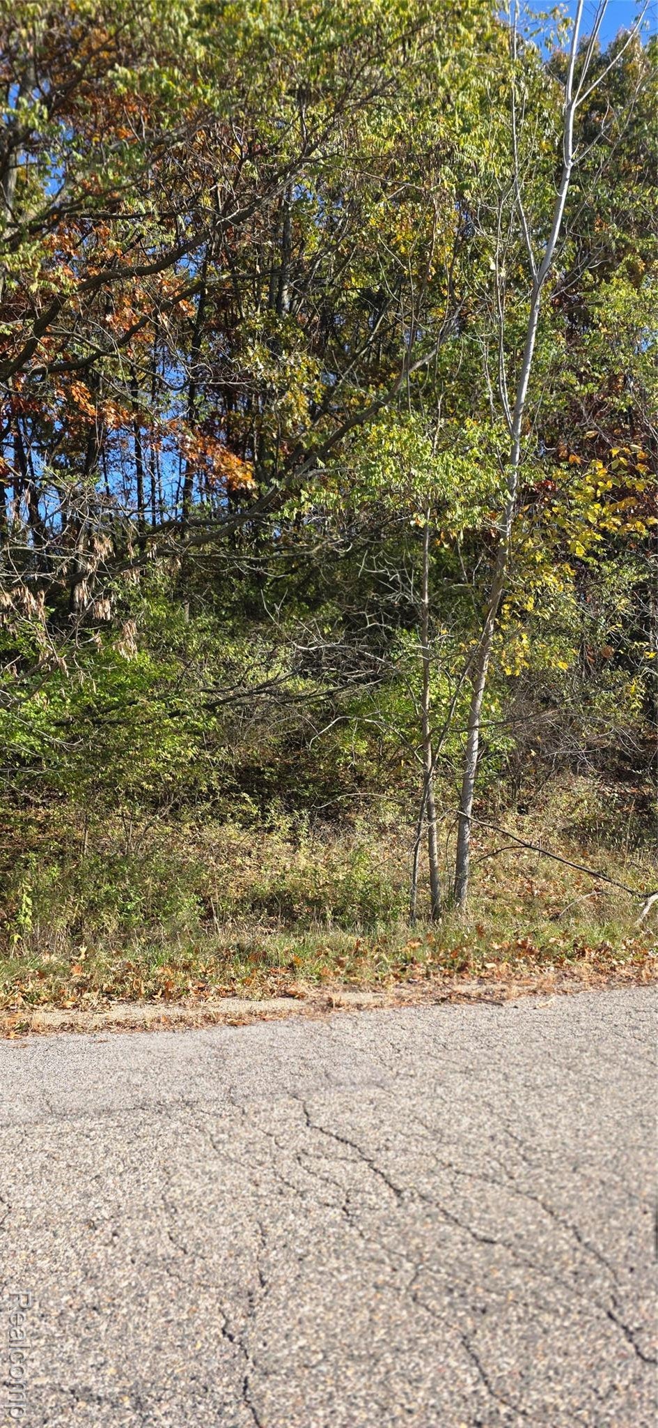 11136 Delphinium Drive, Tyrone township