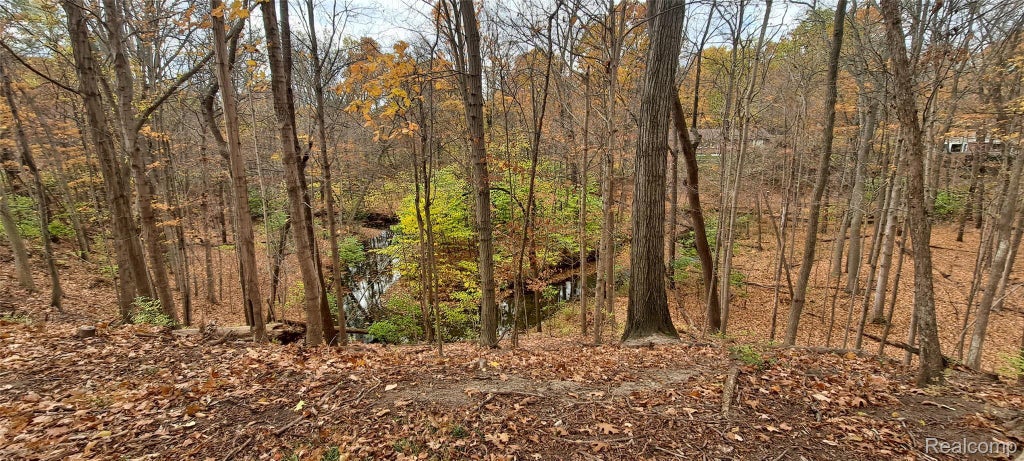 0000 Inkster Rd Road, Farmington Hills city