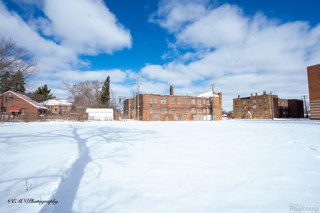 13515 Greiner Street, Detroit city