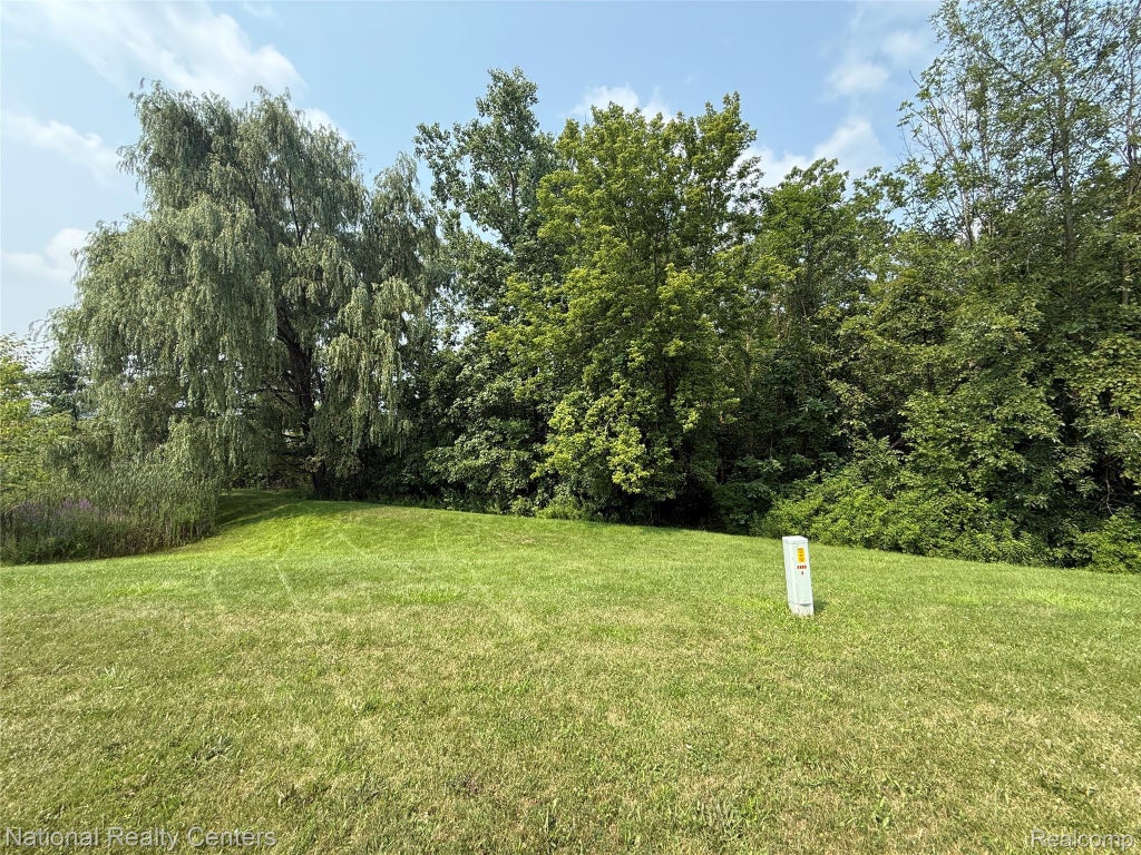 10422 Valley Creek Drive, Goodrich village