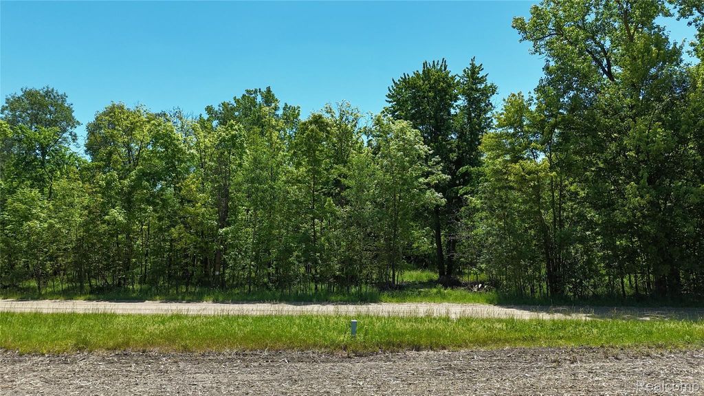 Williams Road, Argentine township